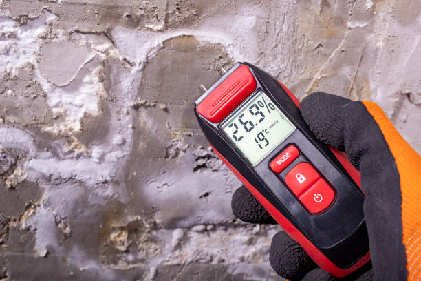Best Home Mold Removal  in Alexandria, VA