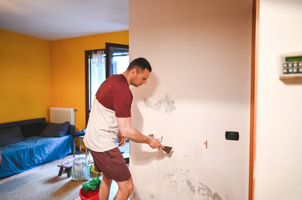 Best Mold Testing  in Alexandria, VA